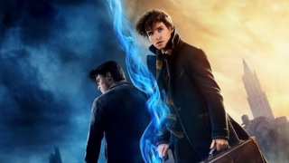 harry potter fantasic beasts wizard world