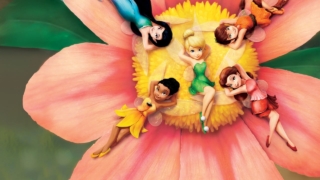 films voor 5-jarigen
