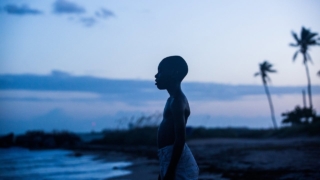 Beste films op videoland