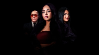 Maffia series op Videoland